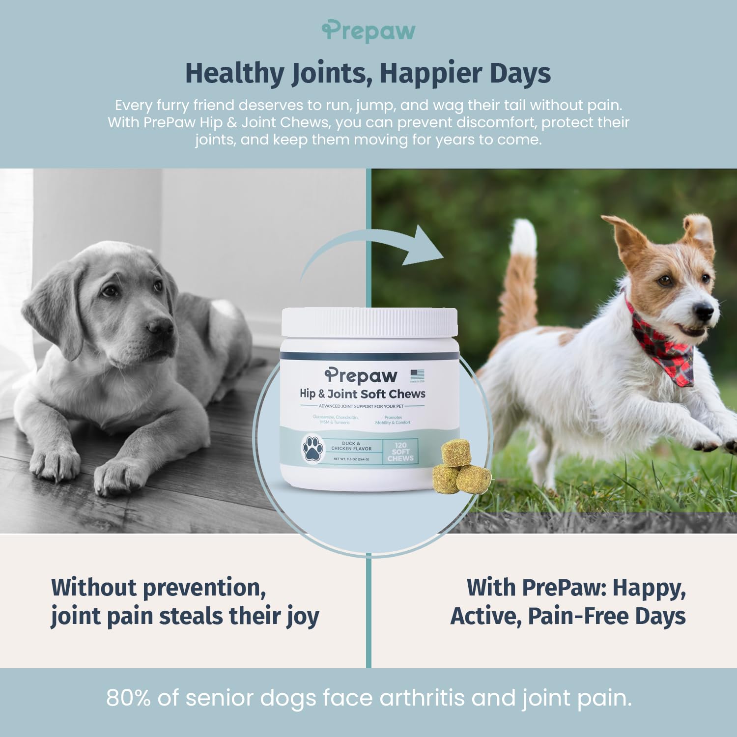 Prepaw Hip & Joint Support for Dogs | Made in USA - 120 Chews