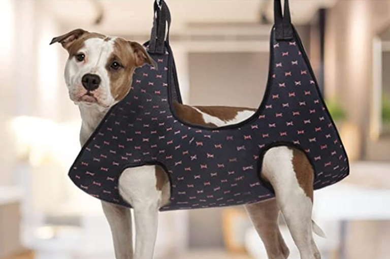 Hammock for Dogs & Cats