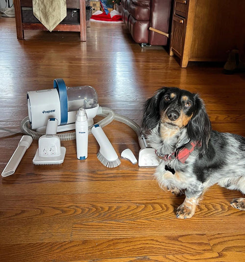 PG50 Plus & PG50 Replacement Electric Clipper - Complete Pet Grooming Kit With Vacuum System