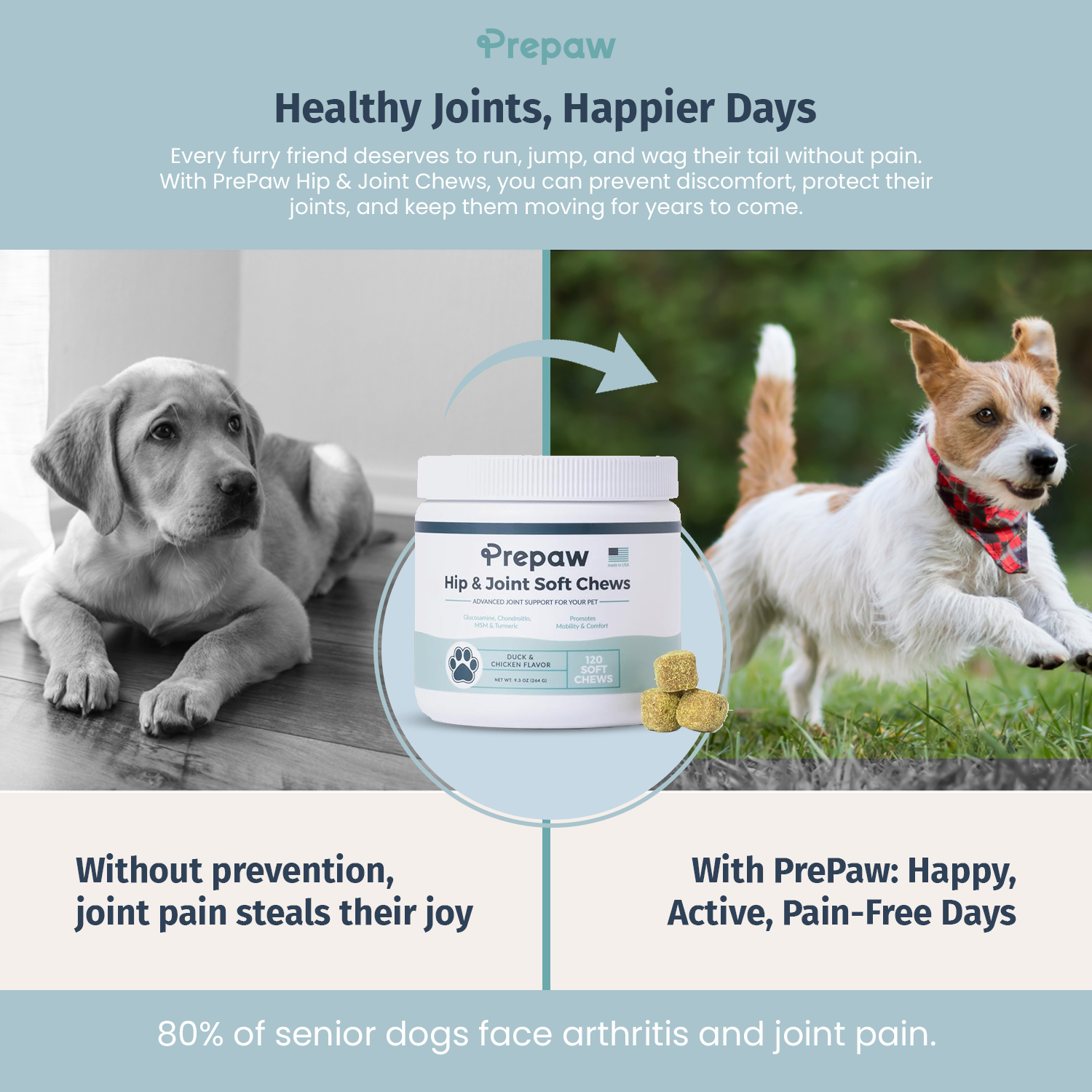 Prepaw Hip & Joint Support for Dogs |  Made in USA - 120 Chews